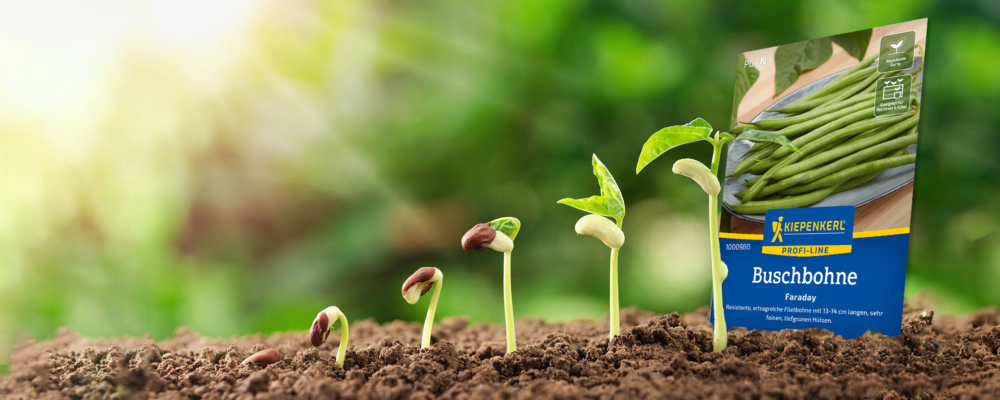 Karriere bei Nebelung